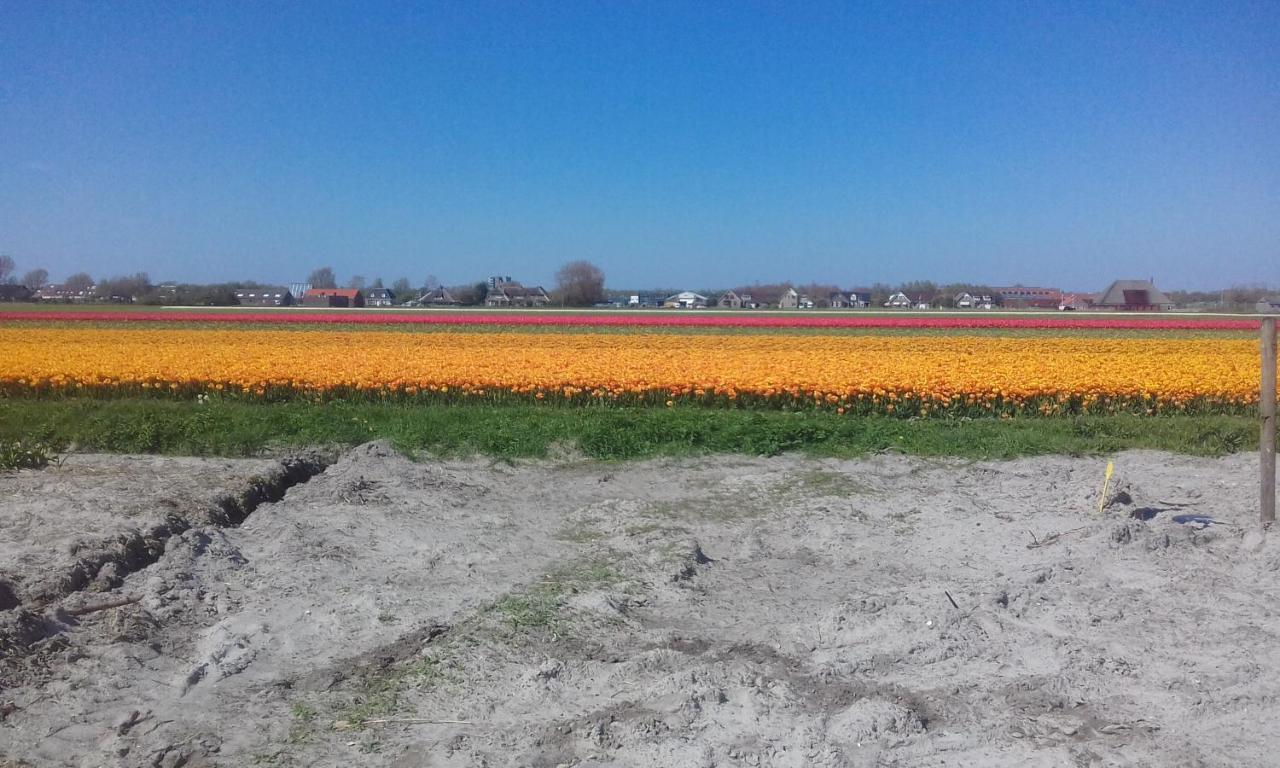 B&B Boerderij Rust, In Pipowagens! Den Helder Esterno foto